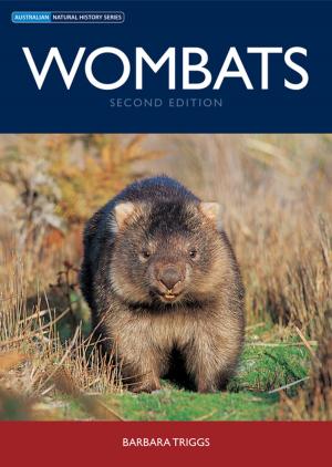 Cover of the book Wombats by TJ Hatton