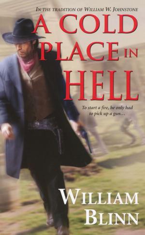 Cover of the book A Cold Place In Hell by Bernard Schaffer