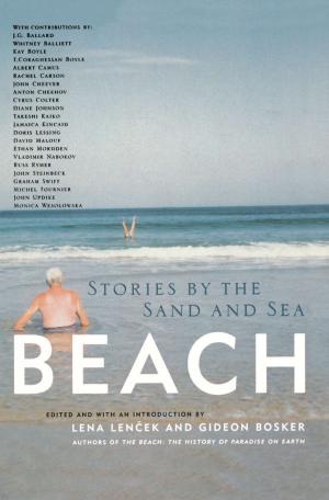 Cover of the book Beach by Janine Oriano