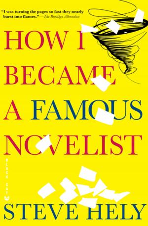 Cover of the book How I Became a Famous Novelist by Charles Kaiser