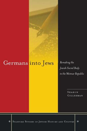 Cover of the book Germans into Jews by Anand Vivek Taneja
