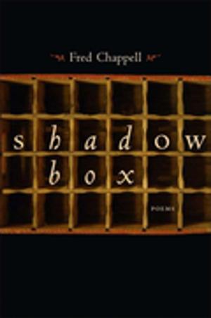Cover of the book Shadow Box by Martin Hawkins