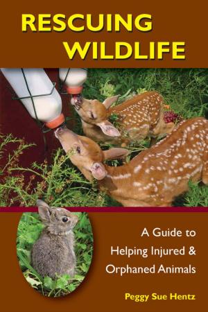 Book cover of Rescuing Wildlife