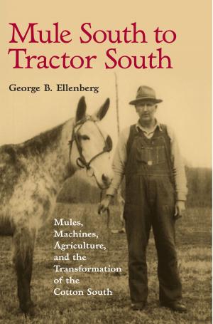 Cover of the book Mule South to Tractor South by Robert E. Murphy