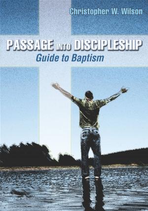 Cover of the book Passage Into Discipleship by Brad Lyons, Bruce Barkhauer