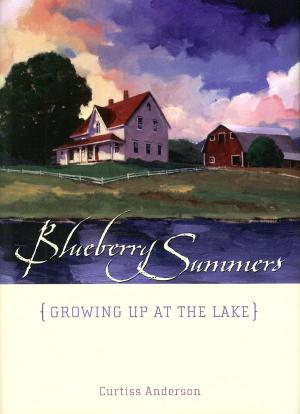 Cover of the book Blueberry Summers by Philip J. Anderson