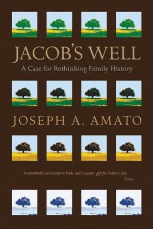 Cover of the book Jacob's Well by Dave Kenney