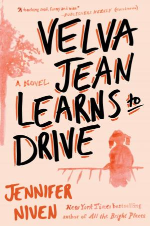 Cover of the book Velva Jean Learns to Drive by JoAnna Carl