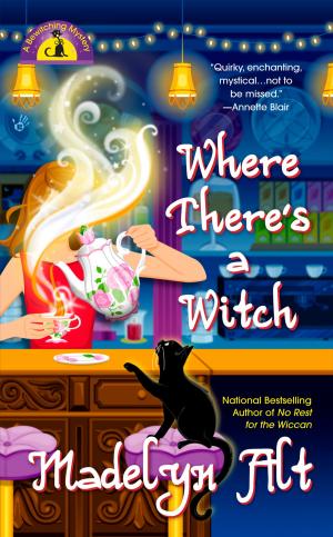Cover of the book Where There's a Witch by Jake Logan