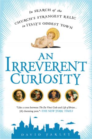 Book cover of An Irreverent Curiosity