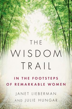 Cover of the book The Wisdom Trail by Chantelle van Lente-Bosch