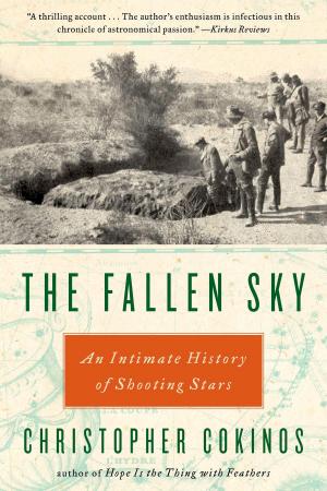 Cover of the book The Fallen Sky by Laurell K. Hamilton, Charlaine Harris, MaryJanice Davidson, Angela Knight, Vickie Taylor
