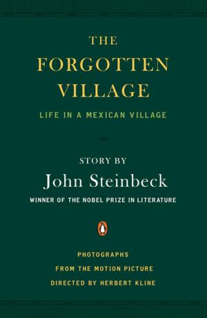 bigCover of the book The Forgotten Village by 