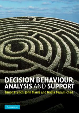 Cover of the book Decision Behaviour, Analysis and Support by David Mevorach Seidenberg
