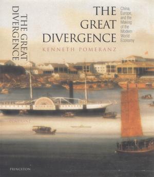 Cover of the book The Great Divergence by Amaney A. Jamal