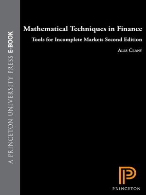 Cover of the book Mathematical Techniques in Finance by Carlos A. Bertulani