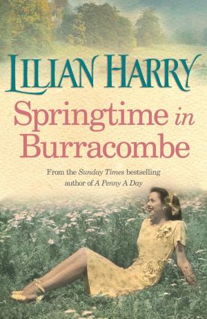 Book cover of Springtime In Burracombe