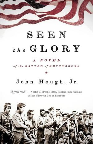 Book cover of Seen the Glory
