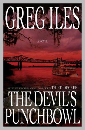 Cover of the book The Devil's Punchbowl by Kelly Lynn Peters