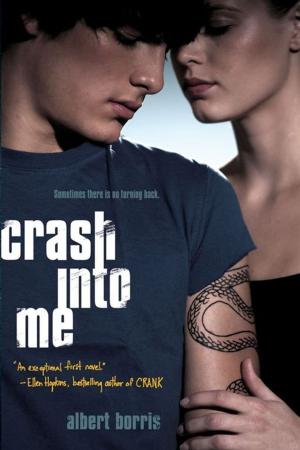 Cover of the book Crash into Me by Lindsey Rosin