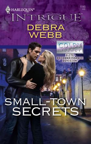 Cover of the book Small-Town Secrets by Nora Roberts