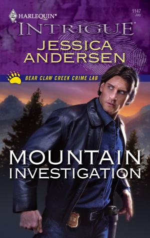 bigCover of the book Mountain Investigation by 
