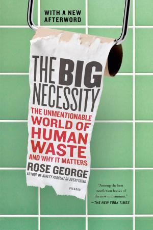 Cover of the book The Big Necessity by Luiz Alfredo Garcia-Roza