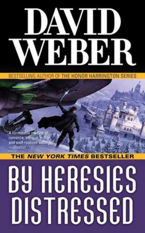 Cover of the book By Heresies Distressed by Orson Scott Card
