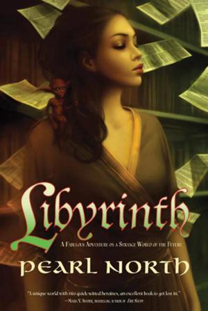 Cover of the book Libyrinth by Margaret Weis