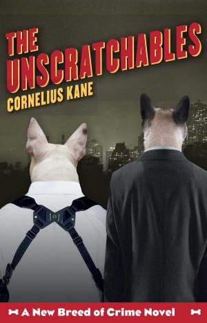 bigCover of the book The Unscratchables by 