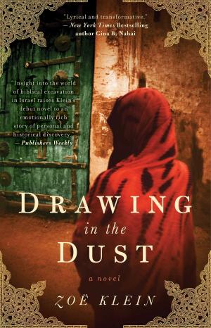 Cover of the book Drawing In the Dust by Melissa Mayhue