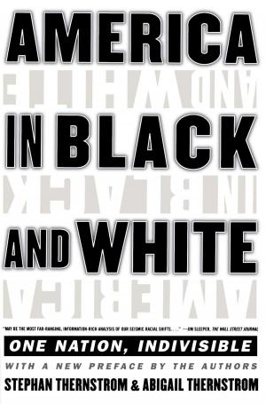 Cover of the book America in Black and White by S. J. Maher