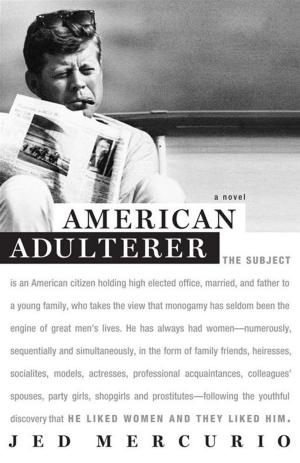 Cover of the book American Adulterer by David McRobbie