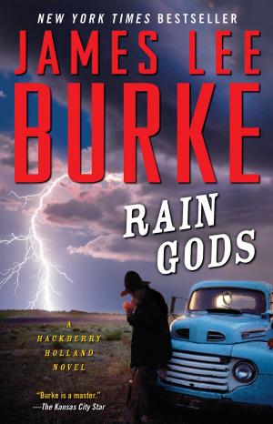 Cover of the book Rain Gods by Keith Blanchard