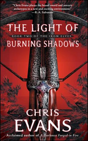 Cover of the book The Light of Burning Shadows by Jeroen Verhoog
