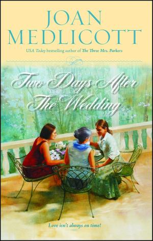 Cover of the book Two Days After the Wedding by Pamela Ribon