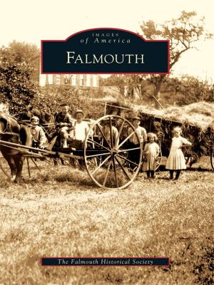 Cover of the book Falmouth by Richard F. Herzog