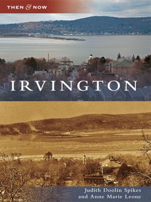 Cover of the book Irvington by S. Cameron Wright