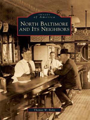 Cover of the book North Baltimore and Its Neighbors by Christopher Boyle