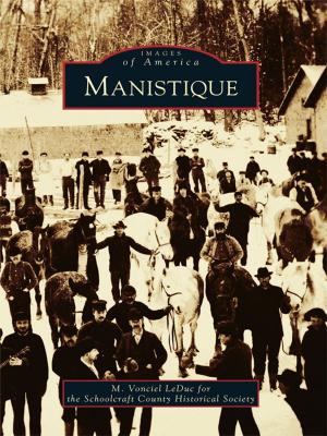Cover of the book Manistique by Bob Cudmore