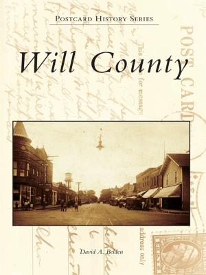 Cover of the book Will County by Rick Geffken, George Severini
