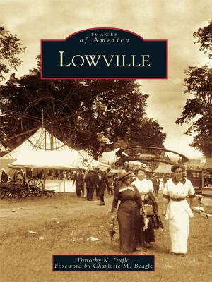 Cover of the book Lowville by Jeffrey Wayne Maulhardt