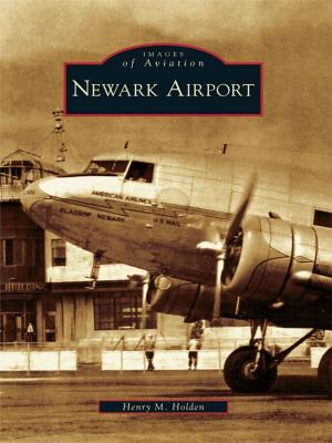 Cover of the book Newark Airport by Ted Wachholz, Chicago Historical Society, land Disaster Historical Society