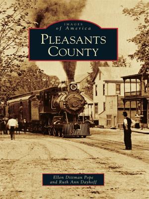 Cover of the book Pleasants County by Donna Blake Birchell, Carlsbad Public Library