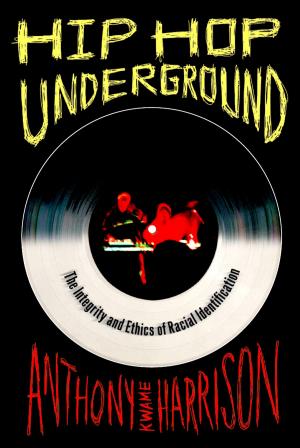 Cover of the book Hip Hop Underground by William Wei
