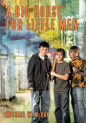 Cover of the book A Big House for Little Men by Romana C. Guillotte