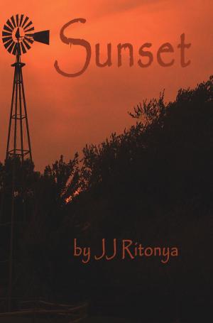 Cover of the book Sunset by Carl Hose