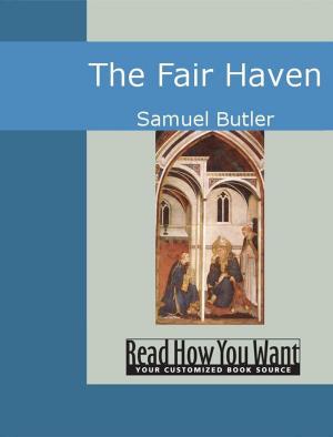 Book cover of The Fair Haven