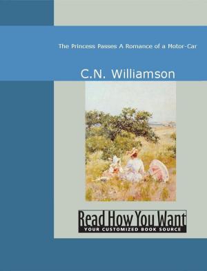 Book cover of The Princess Passes : A Romance Of A Motor-Car