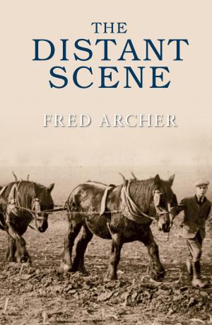Book cover of The Distant Scene